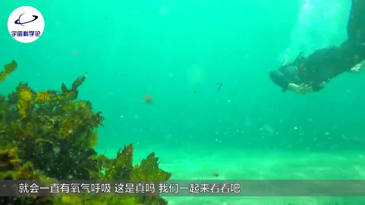模拟人生4