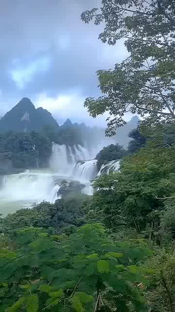 填满红色选关版